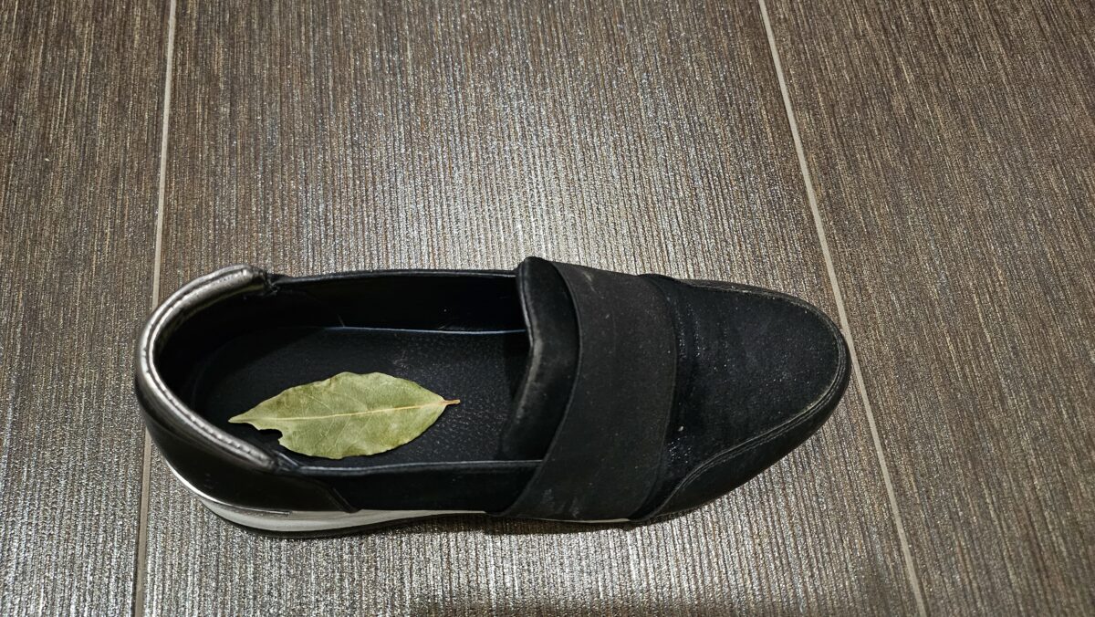 Bobkový list v topánke