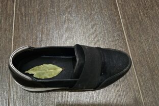 Bobkový list v topánke