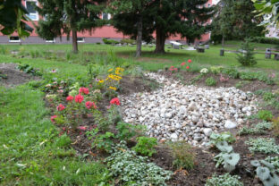 440 tisic litrov_svit.jpg