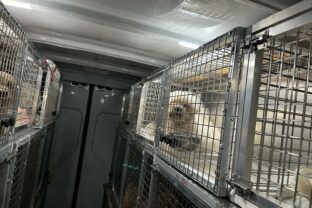 MPRV: Ochrana spoločenských zvierat