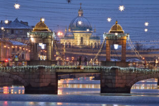 Daily Life Holiday Lights