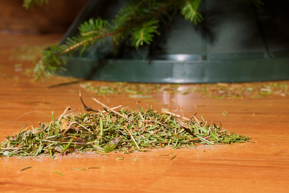 popadané ihličie z vianočného stromčeka na zemi