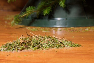 popadané ihličie z vianočného stromčeka na zemi