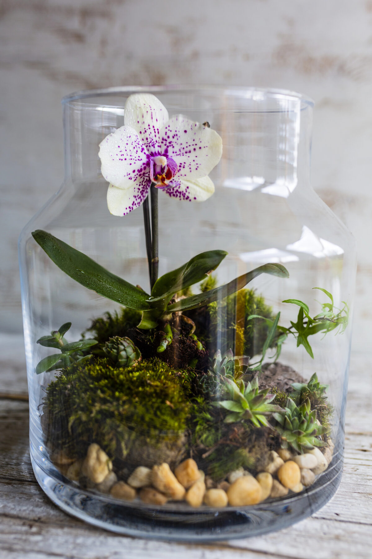 Orchidea v sklenenej nádobe