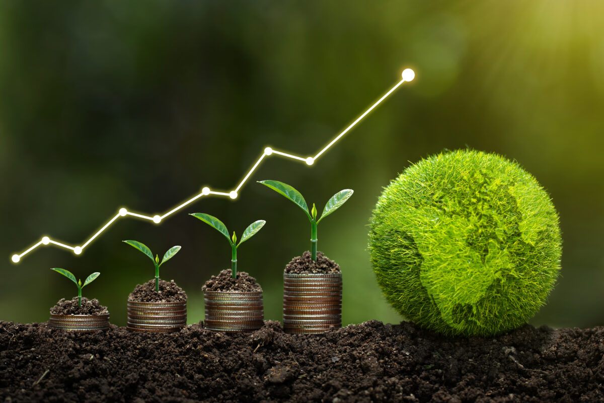 Light bulb is located on soil. plants grow on stacked coins Renewable energy generation is essential for the future. Renewable energy based green business can limit climate change and global warming.