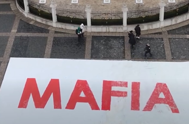 Mafia, Sloboda a Solidarita