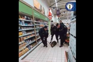 Mestskí policajti v plzenskom Tescu chytali diviaka
