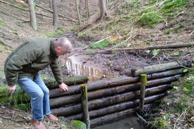 Original_1bbfe643 f5ac 4a56 9c3e ea20992905df_img_20241111_114930.jpg