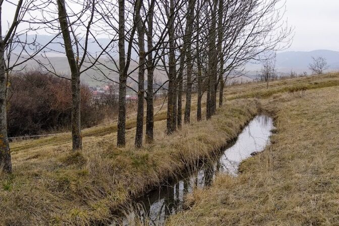 Original_33a4c952 8201 496d b4be f8c63b5e61c6_img_20250327_130536.jpg