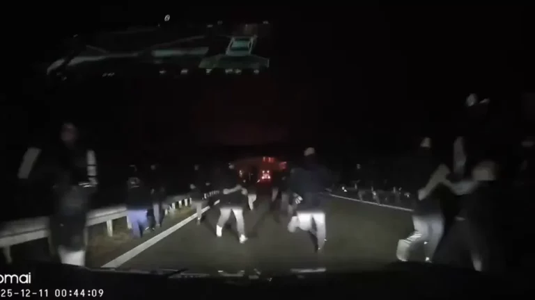 Proyecto nuevo 2025 12 11t130914 134 16 9 aspect ratio default 0_da39.webp