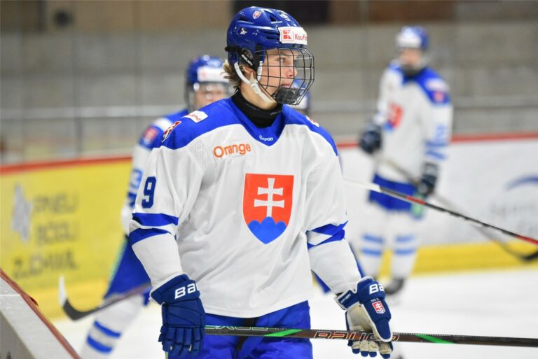 HOKEJ: Slovensko 18 - Nemecko 18