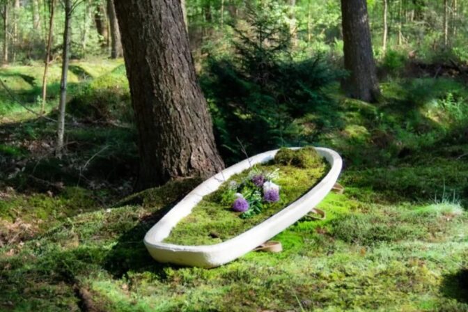 Prvá biologicky rozložiteľná rakva z húb mení pohľad na poslednú rozlúčku