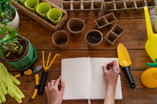 plánovanie záhrady