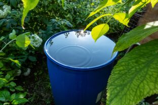 Sud na dažďovú vodu