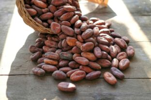 Anna našla pred dverami vysypanú fazuľu: UPOZORNENIE pre všetky slovenské domácnosti!