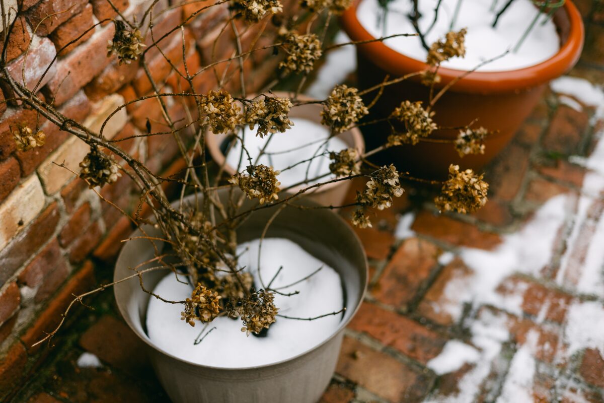 zasnežené kvetináče