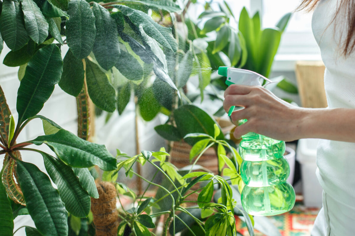 sprejovanie rastlín