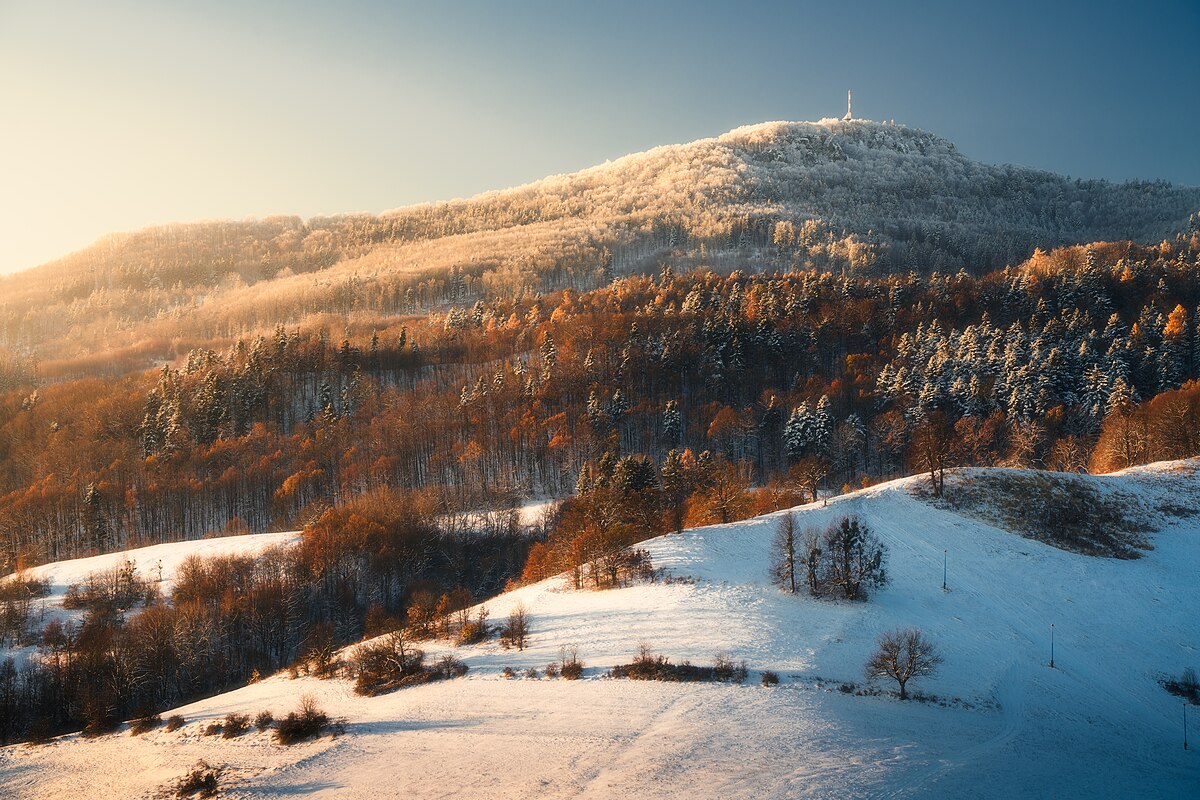 Sitno_nov_2023 1.jpg