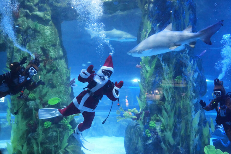 South Korea Christmas Preparations