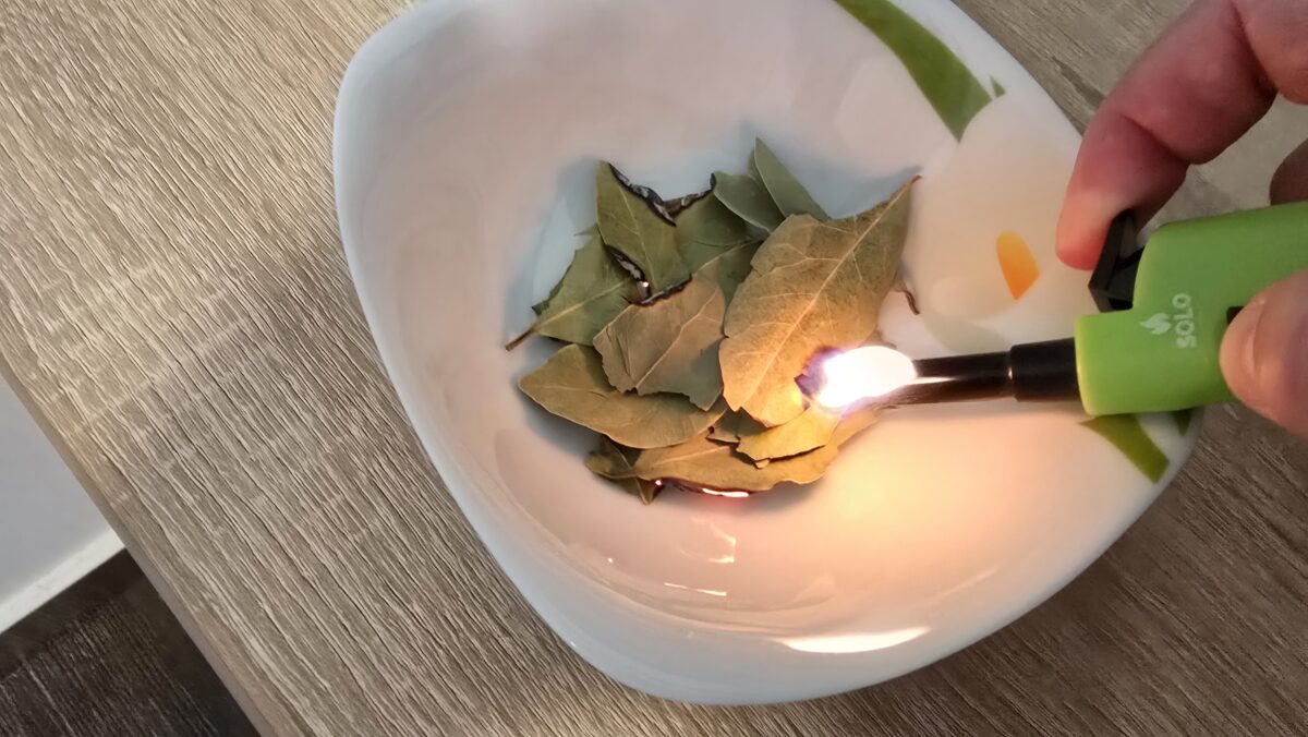 Prečo si doma pravidelne zapáliť bobkový list