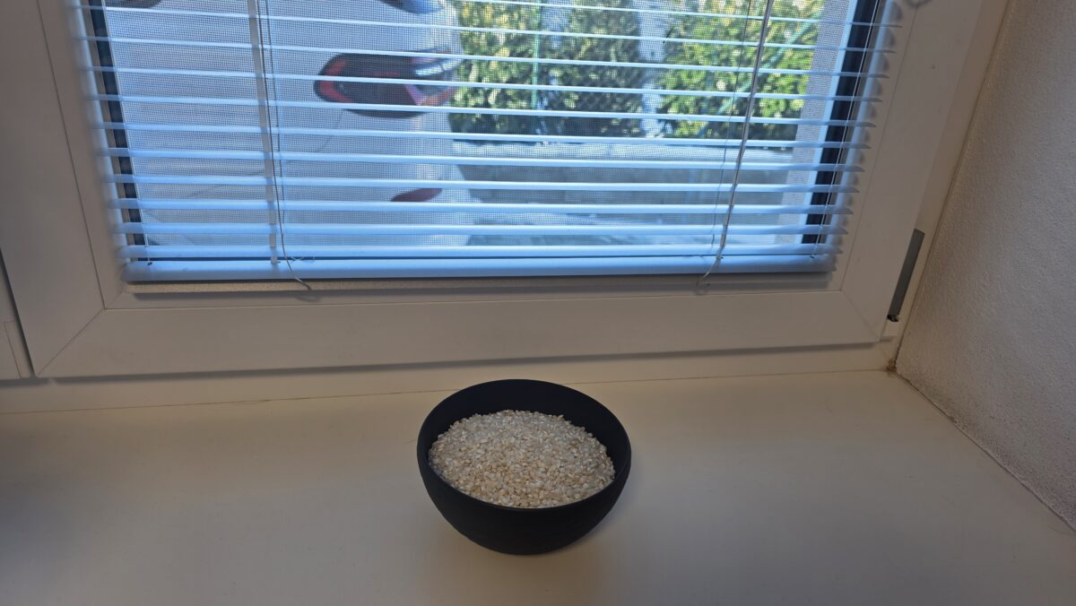 miska s ryžou na parapete