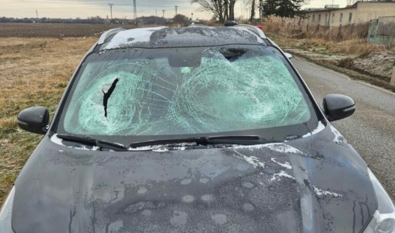 Trnavská polícia, dopravná nehoda