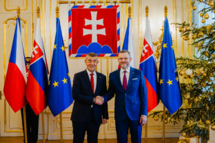 PREZIDENT: Prijal premiéra Českej republiky