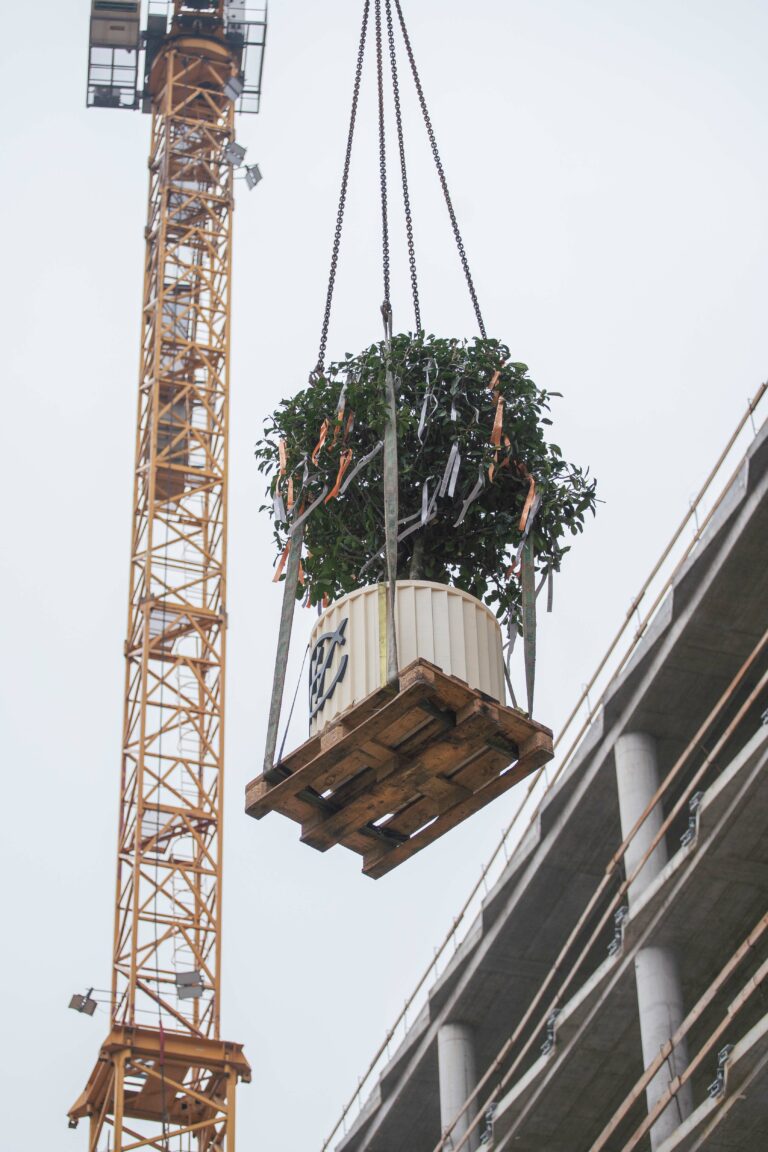 Projekt Chalupkova Offices dosiahol plnú výšku