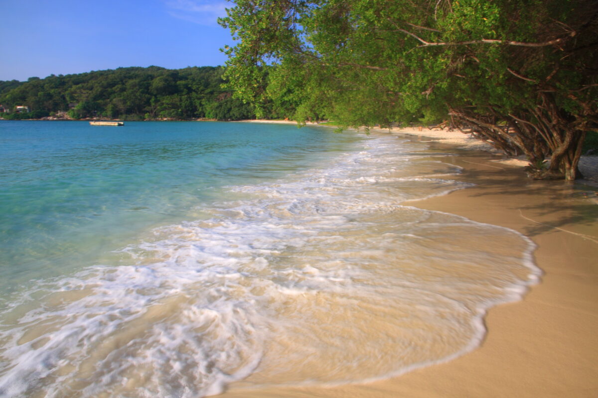 Blue sea white sand with green tree.