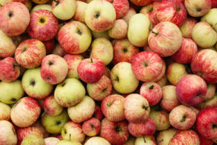 Organic red apples as pattern and food background. Farmers Market