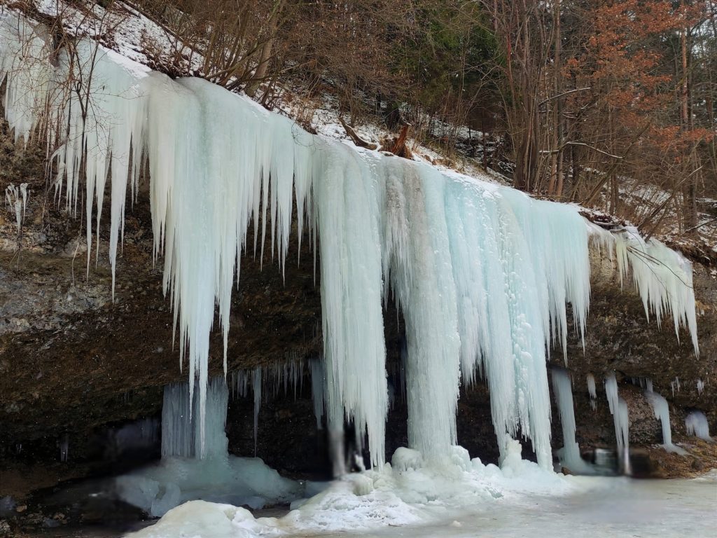 Img_20221020_094311 1024x768 1.jpg