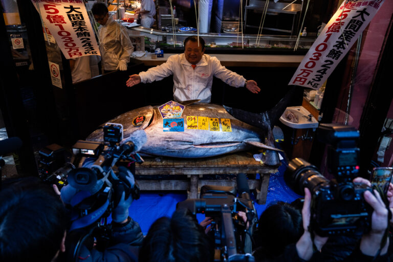 Japan Tuna Auction