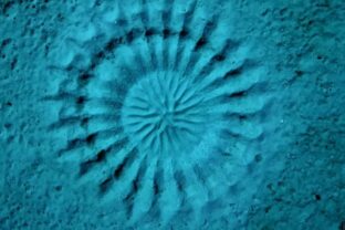 Záhadné kruhy na dne mora desili aj fascinovali vedcov. Pravda o ich pôvode je prekvapivo romantická (video)