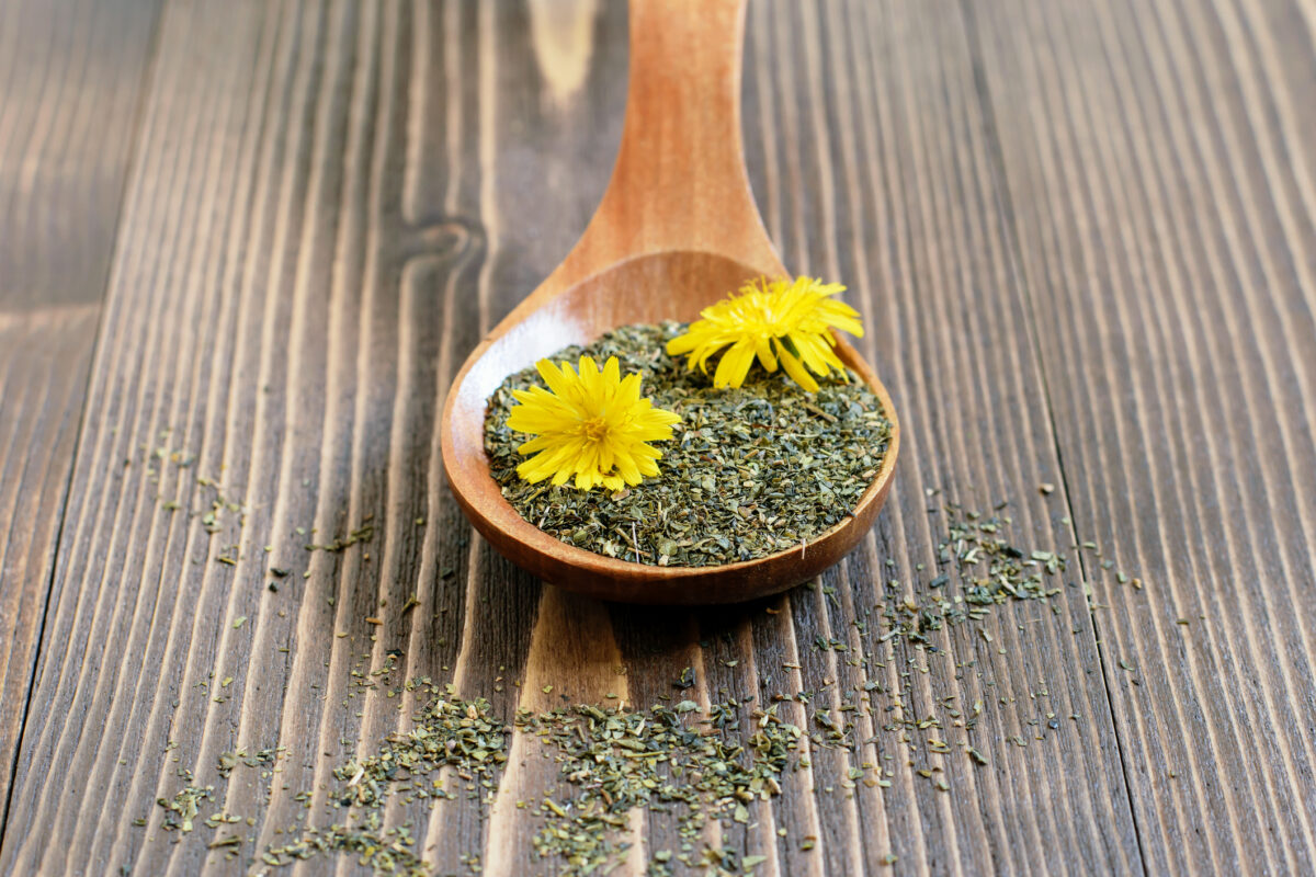 Liečivá sila bylín: Tieto buriny vám môžu zmeniť zdravie (a rastú zadarmo)