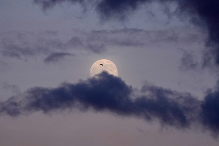 Serbia Wolf Supermoon