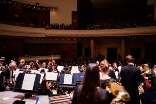 Sfk_foto david hanko.jpg