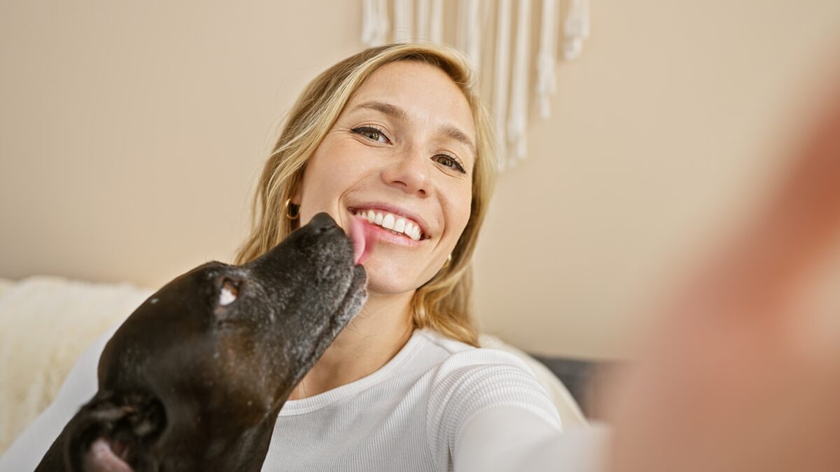 pes olizuje svoju majiteľku