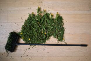 popadané ihličie pod vianočným stromčekom