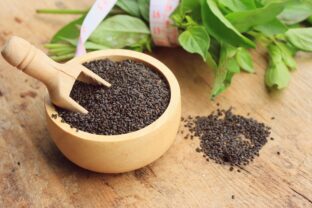 balzamikové semienka