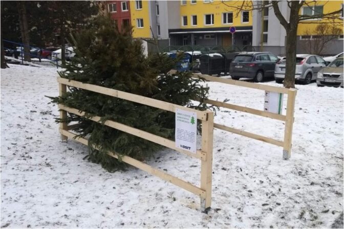 Košice, vianočné stromčeky