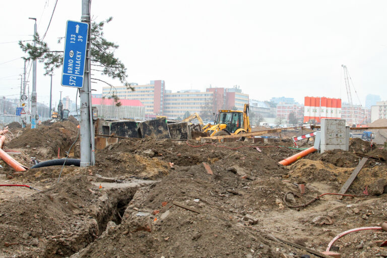 Istropolis, Trnavské mýto