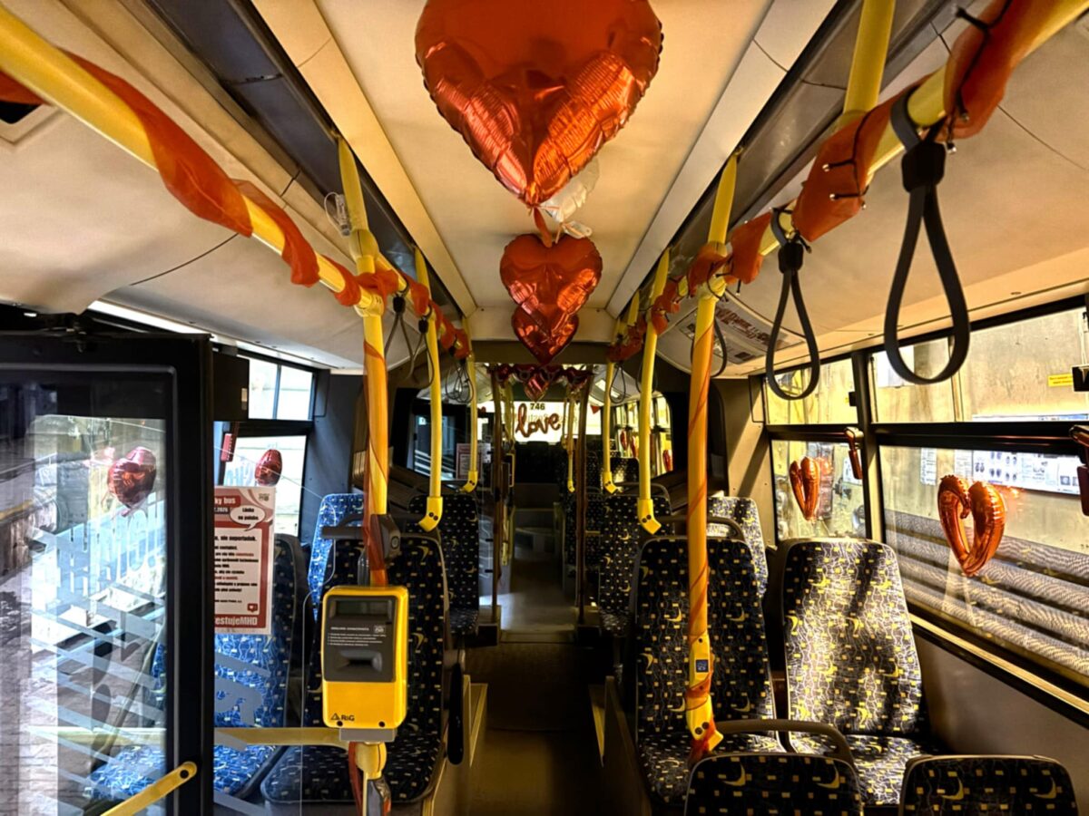 71166b65 72a3 43e5 a0d0 678dc3b0fbf1.jpg