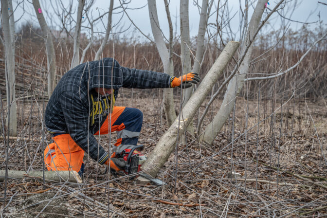 Kampus zdravia a športu v Petržalke - prípravné práce