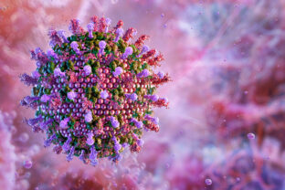 Hendra virus, a zoonotic disease. Viral particle, spike like glycoproteins.