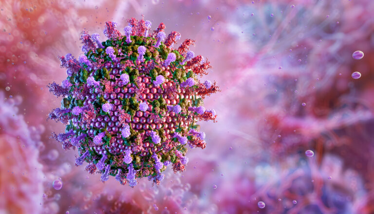 Hendra virus, a zoonotic disease. Viral particle, spike like glycoproteins.