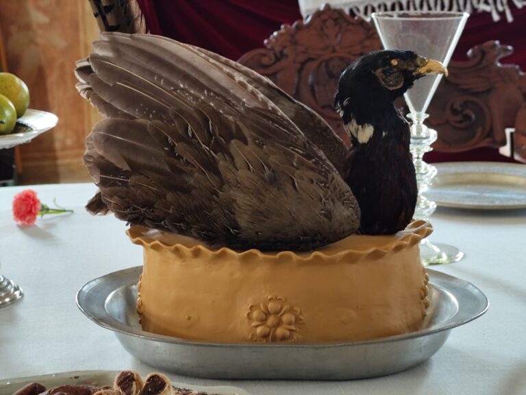 Zámok Kratochvíle: Renesančné Benátky Viléma z Rožmberka, kde sa zabúdalo na svet