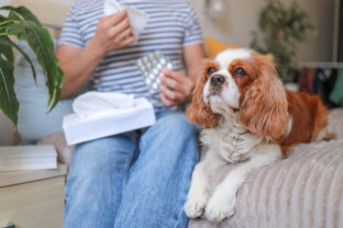 Lieky užívané majiteľmi môžu spôsobiť hormonálne poruchy domácich zvierat, tvrdí nová štúdia