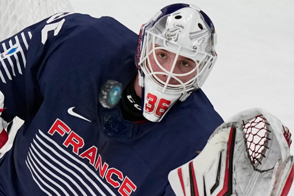Hokej na olympiáde: Francúzsko - Česko