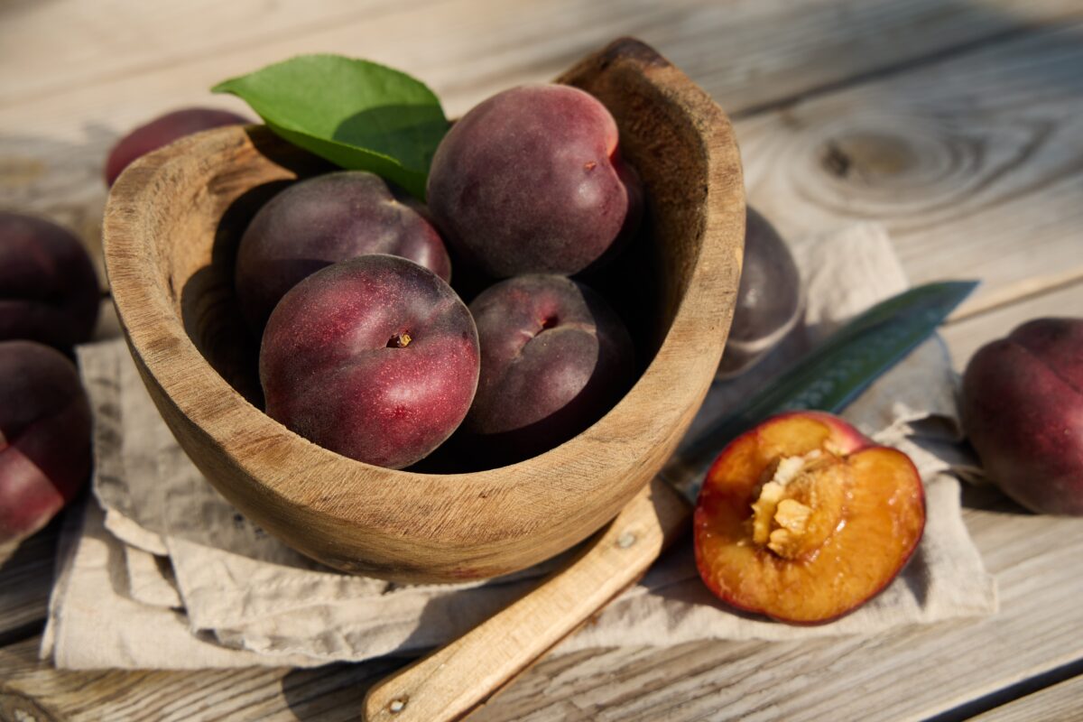 plumcot