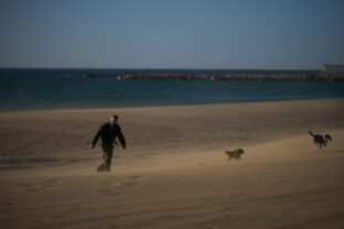 Spain Catalonia Winds